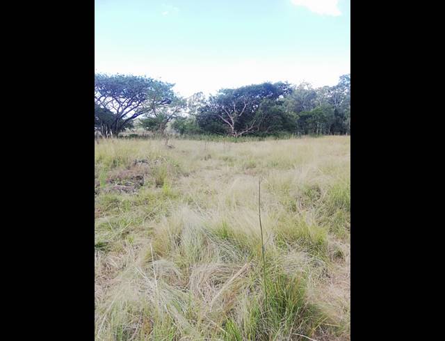 30,000M² VACANT LAND FOR SALE IN HILLDROP